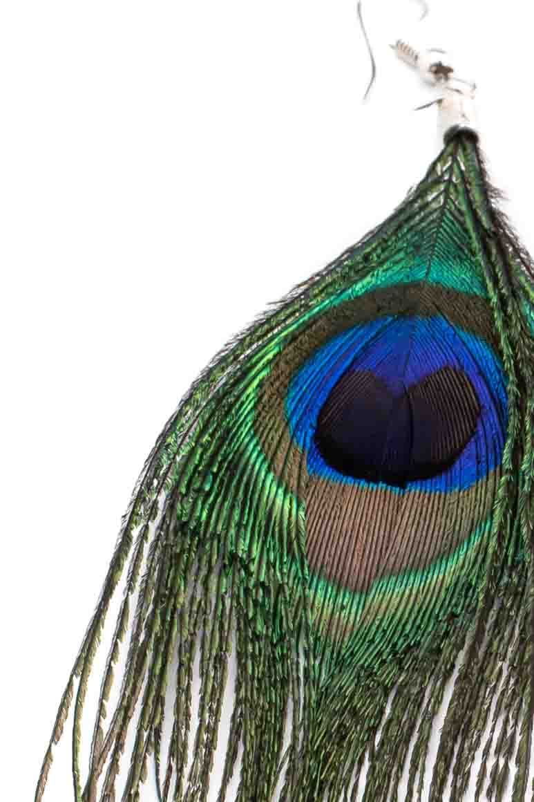 Peacock Feather Earrings - awatara