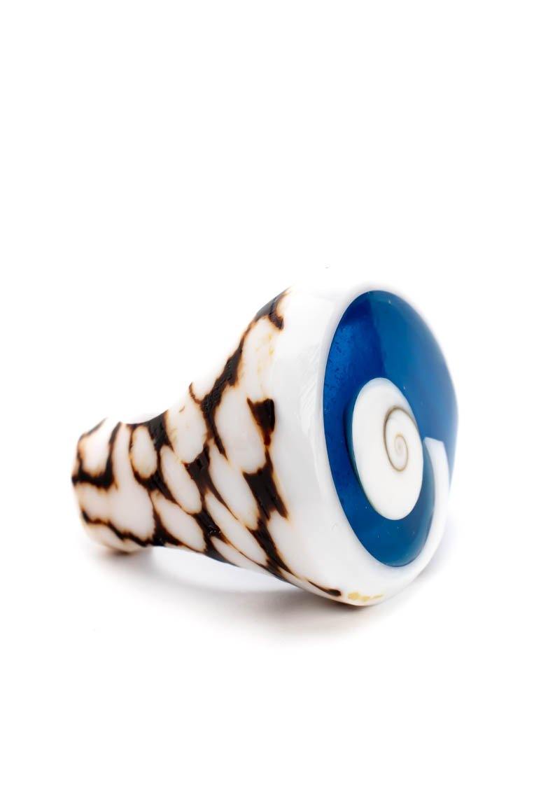 Sea shell ring - awatara