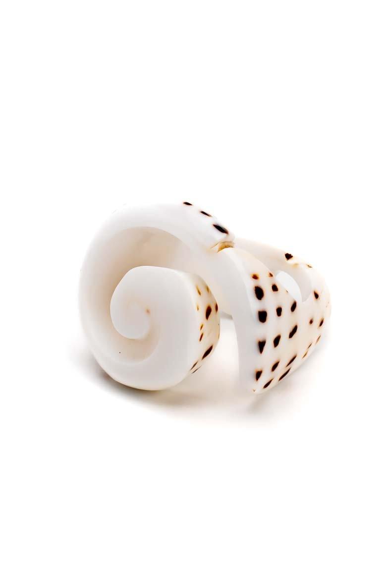 Sea shell spiral ring - awatara