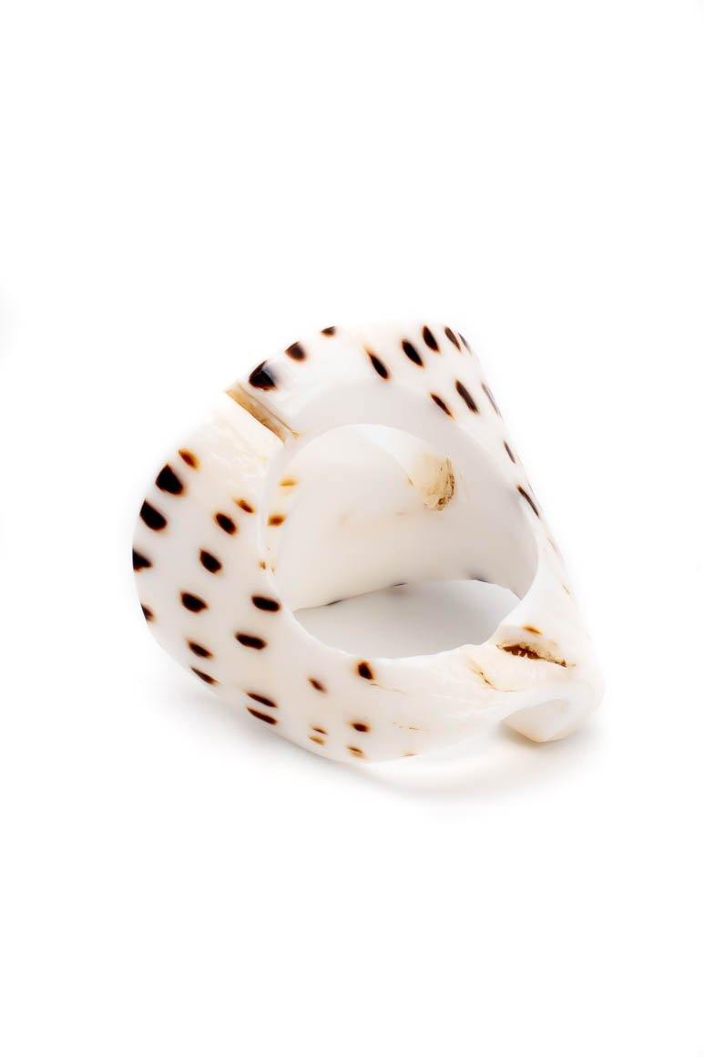 Sea shell spiral ring - awatara